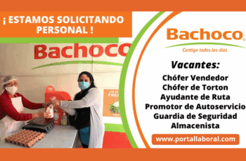 Bachoco: Alimentando Familias y Creando Futuro