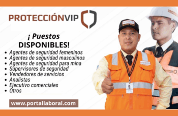 Vacantes Disponibles En Protección VIP