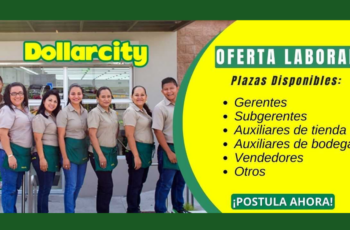 Oportunidades de empleo en Dollarcity